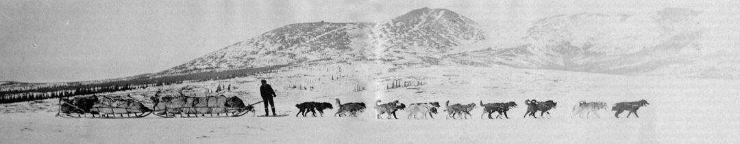 To Build Historic Dog Sleds, Part II